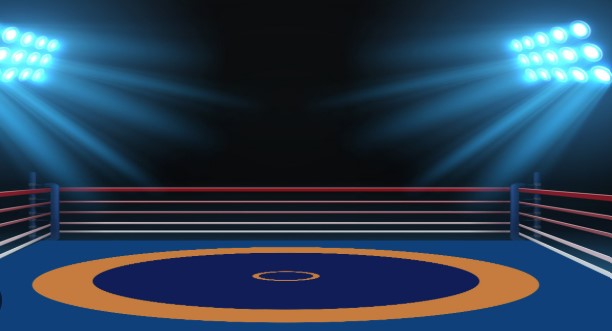 Wrestling Mat