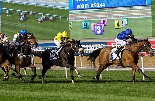 Horse racing5