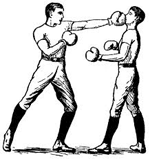 Learn Boxing - Indian Sports News