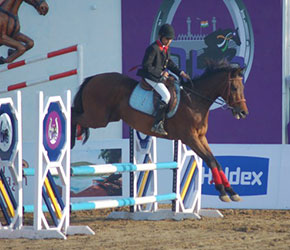 Delhi Horse Show SHOW JUMPING TOP SCORE