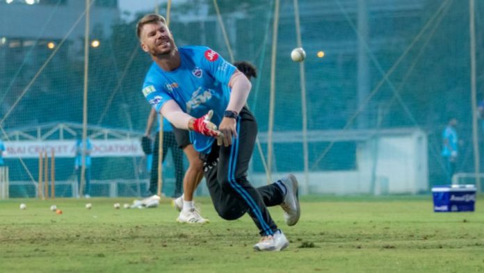 David Warner IPL David Warner IPL