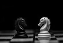 Commonwealth Chess Association signs Paramount Chess as equipment partner A black and a white chess knight facing each other on a chessboard